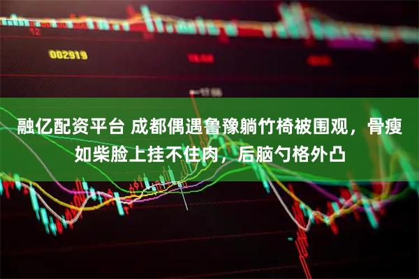 融亿配资平台 成都偶遇鲁豫躺竹椅被围观，骨瘦如柴脸上挂不住肉，后脑勺格外凸
